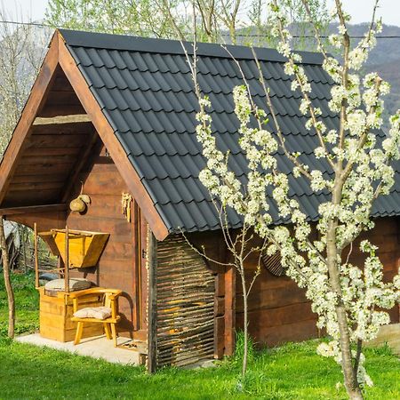 Djurdjevina Family Farm Villa Kolasin Exterior photo