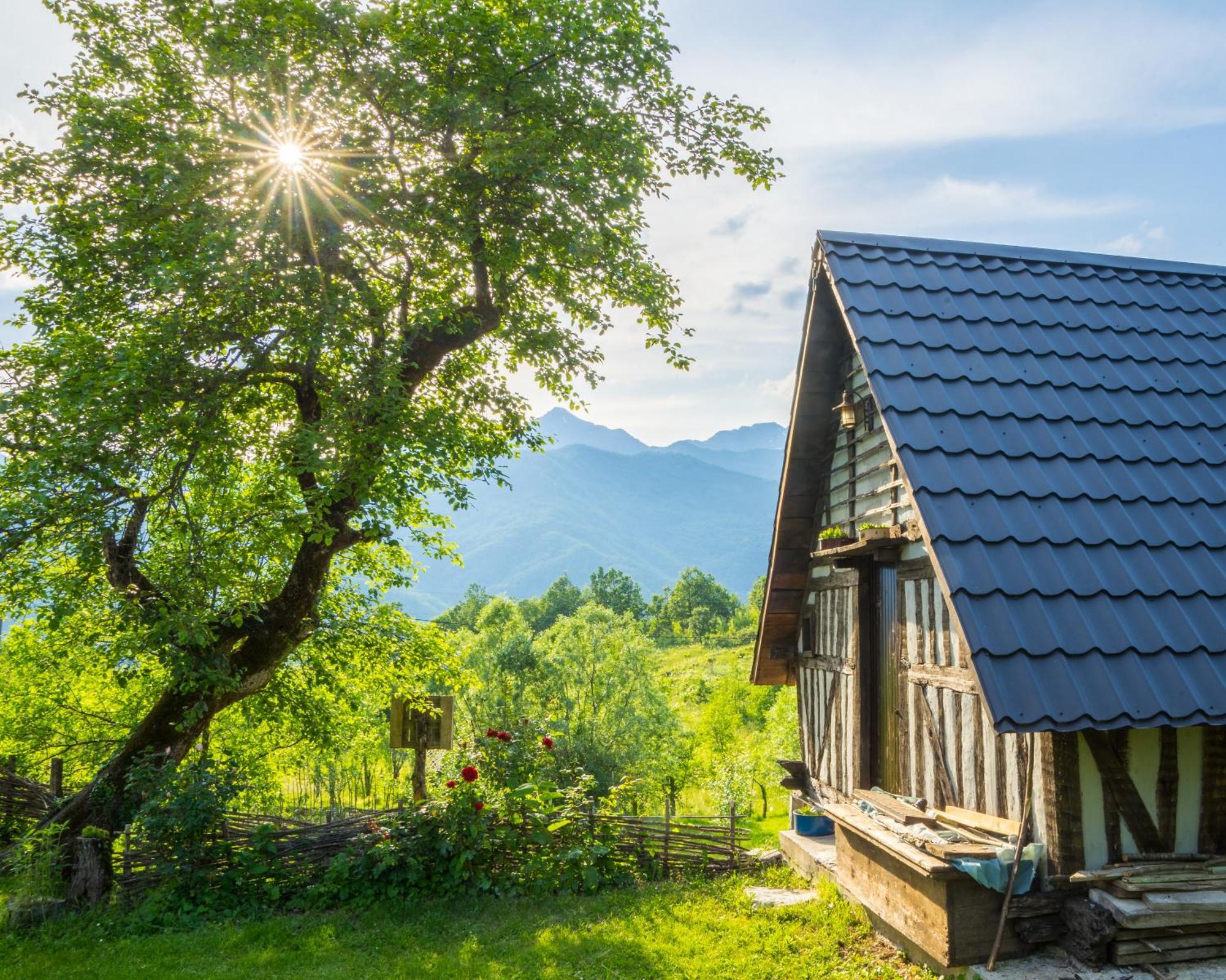 Djurdjevina Family Farm Villa Kolasin Room photo